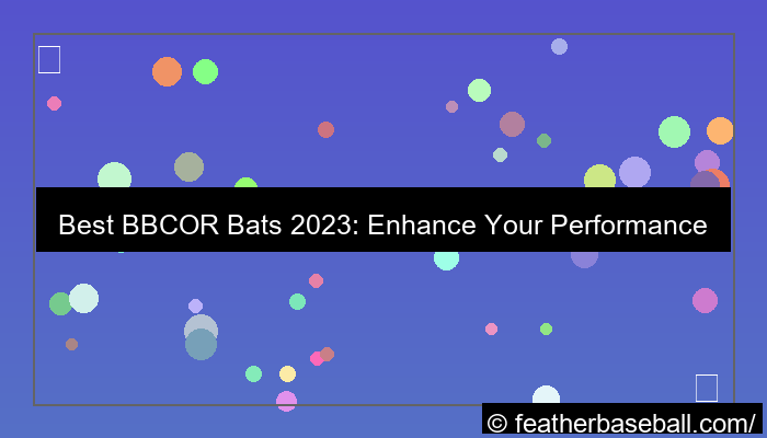 best bbcor bats 2023 enhance your performance with the best picks